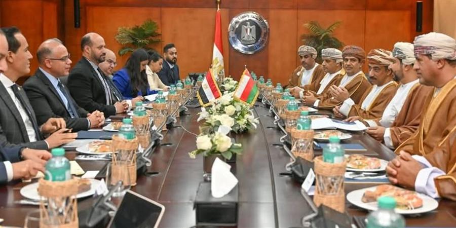 Egypt, Oman mull special economic zones integration to boost trade

